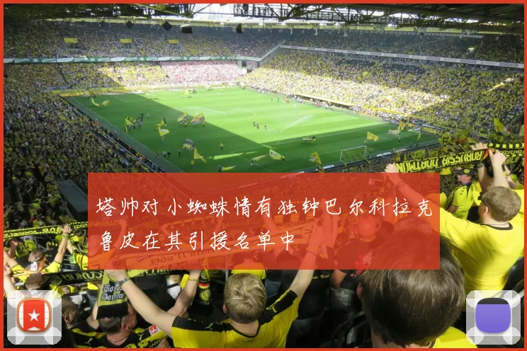塔帅对小蜘蛛情有独钟巴尔科拉克鲁皮在其引援名单中