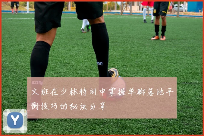 文班在少林特训中掌握单脚落地平衡技巧的秘诀分享