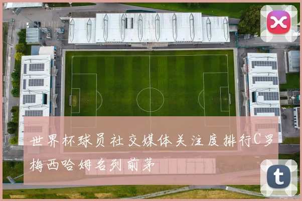 世界杯球员社交媒体关注度排行C罗梅西哈姆名列前茅
