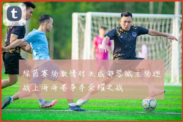 绿茵赛场激情对决成都蓉城主场迎战上海海港争夺荣耀之战